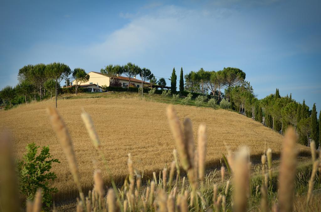 Agriturismo Il Catrino Ponteginori Exterior foto
