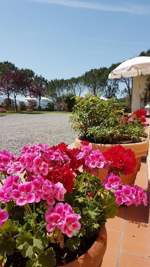 Agriturismo Il Catrino Ponteginori Exterior foto