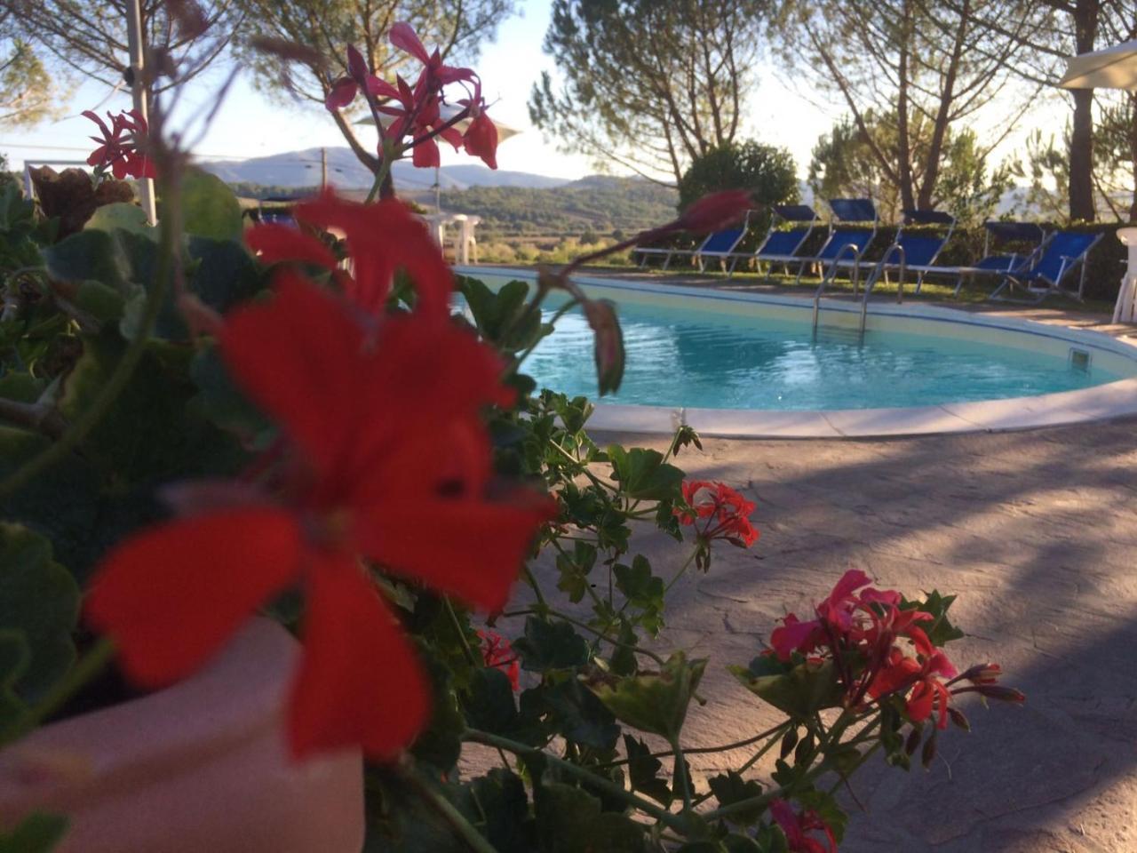 Agriturismo Il Catrino Ponteginori Exterior foto
